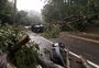 Árvore cai sobre carro e mata motorista em Sapucaia do Sul