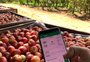 A parceria que deve aprimorar a distribuição de alimentos orgânicos na Capital