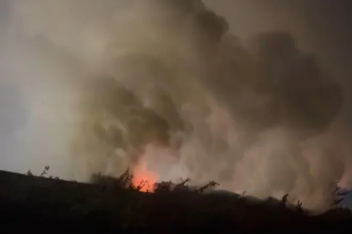 Arquivo pessoal / Divulgação