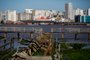 Porto Alegre, RS, Brasil, 07/11/2023 - Governo do estado avalia concessão do Parque do Delta do Jacuí enquanto estrutura da Ilha da Pólvora se deteriora. - Foto: Jonathan Heckler/Agência RBS<!-- NICAID(15590354) -->