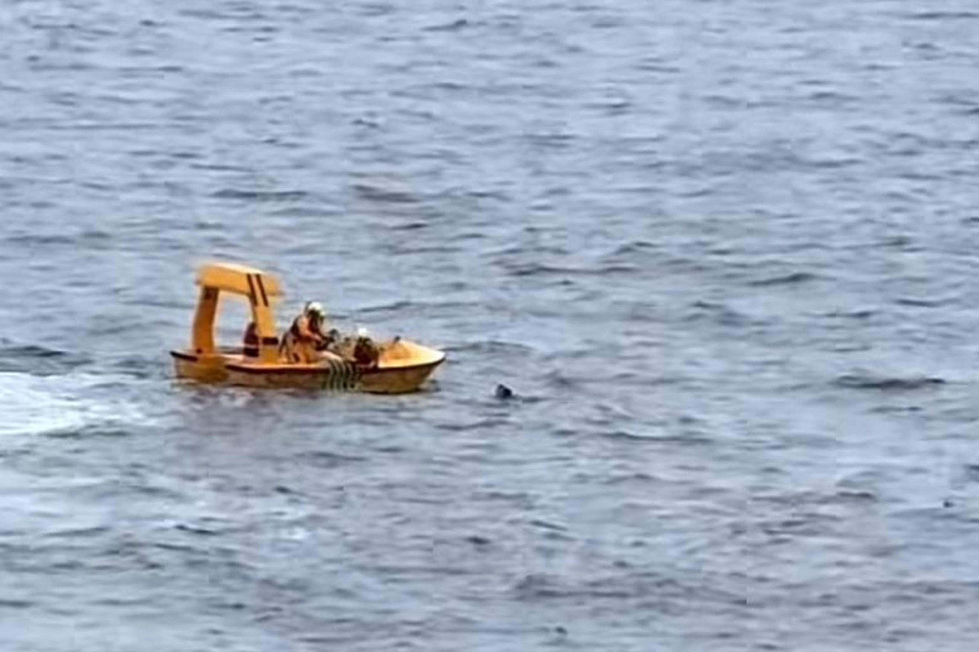 Criança de quatro anos cai de navio da Disney e pai pula para salvá-la; veja vídeo | GZH