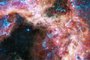 A Nebulosa Tarantula, fotografada pelo telescópio James Webb.FOTO: NASA, ESA, CSA, STScI, Webb ERO Production Team / Divulgação<!-- NICAID(15198322) -->