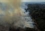 Desmatamento na Amazônia é o 2º mais alto para o primeiro trimestre desde 2016; Cerrado tem recorde
