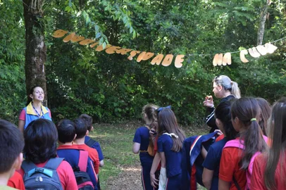 Desde segunda-feira (23), mais de 500 alunos de escolas públicas e privadas de Bento Gonçalves estão visitando a sede da Embrapa Uva e Vinho. O projeto Embrapa & Escola é desenvolvido há mais de 20 anos pela instituição, porém, em razão da pandemia não ocorria desde 2020.<!-- NICAID(15579140) -->