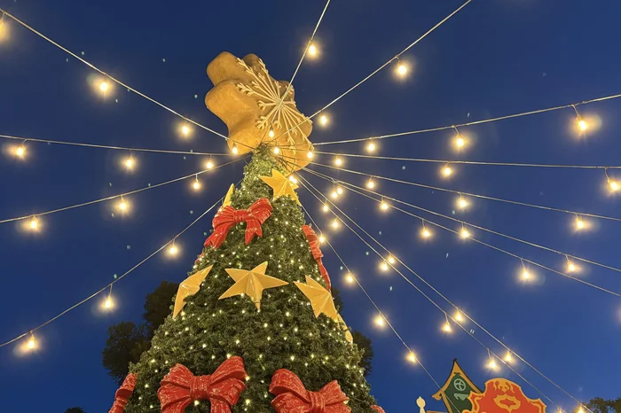 Gabriel Costa / Agencia RBS