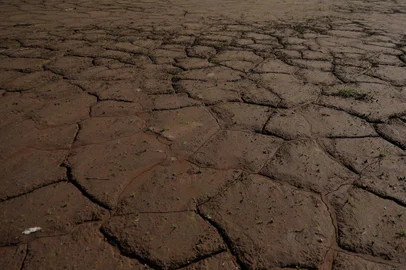 Estrela, RS, Brasil - Estudo liderado pelo Senar-RS está coletando amostras de solos para mapear os estragos da enchente na produção agrícola. Enxurrada levou a camada mais fértil das terras atingidas.Indexador: jeff botega<!-- NICAID(15803530) -->