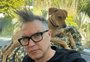 Mark Hoppus, do Blink-182, revela estar curado do câncer: "Hoje é um dia incrível"