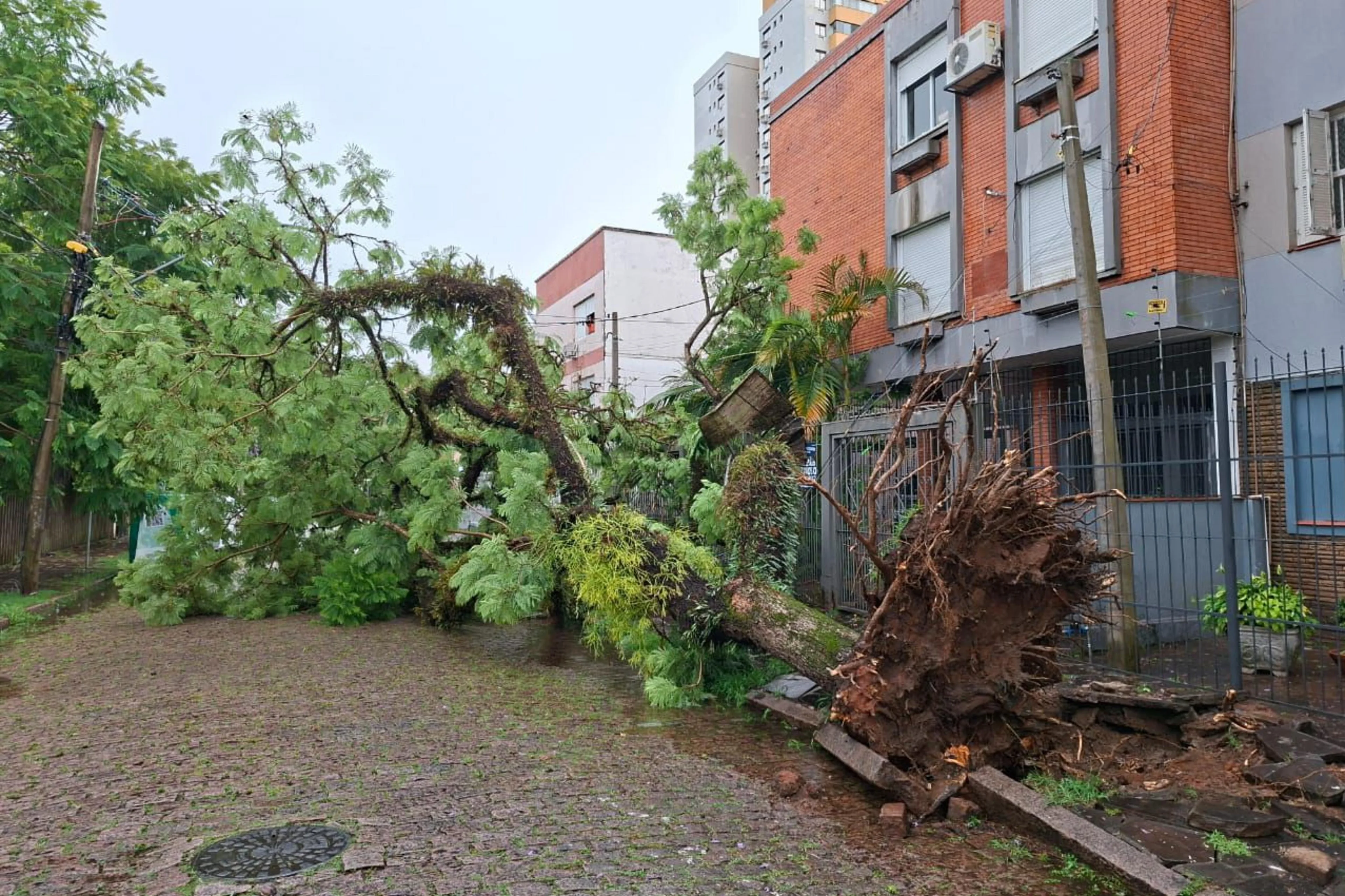 Betine de Paris/Arquivo Pessoal