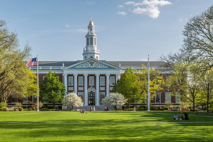 Marcio Vaqueiro / stock.adobe.com