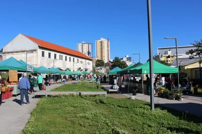 Feira Ecológica de Caxias do Sul no bairro São Pelegrino<!-- NICAID(14795432) -->