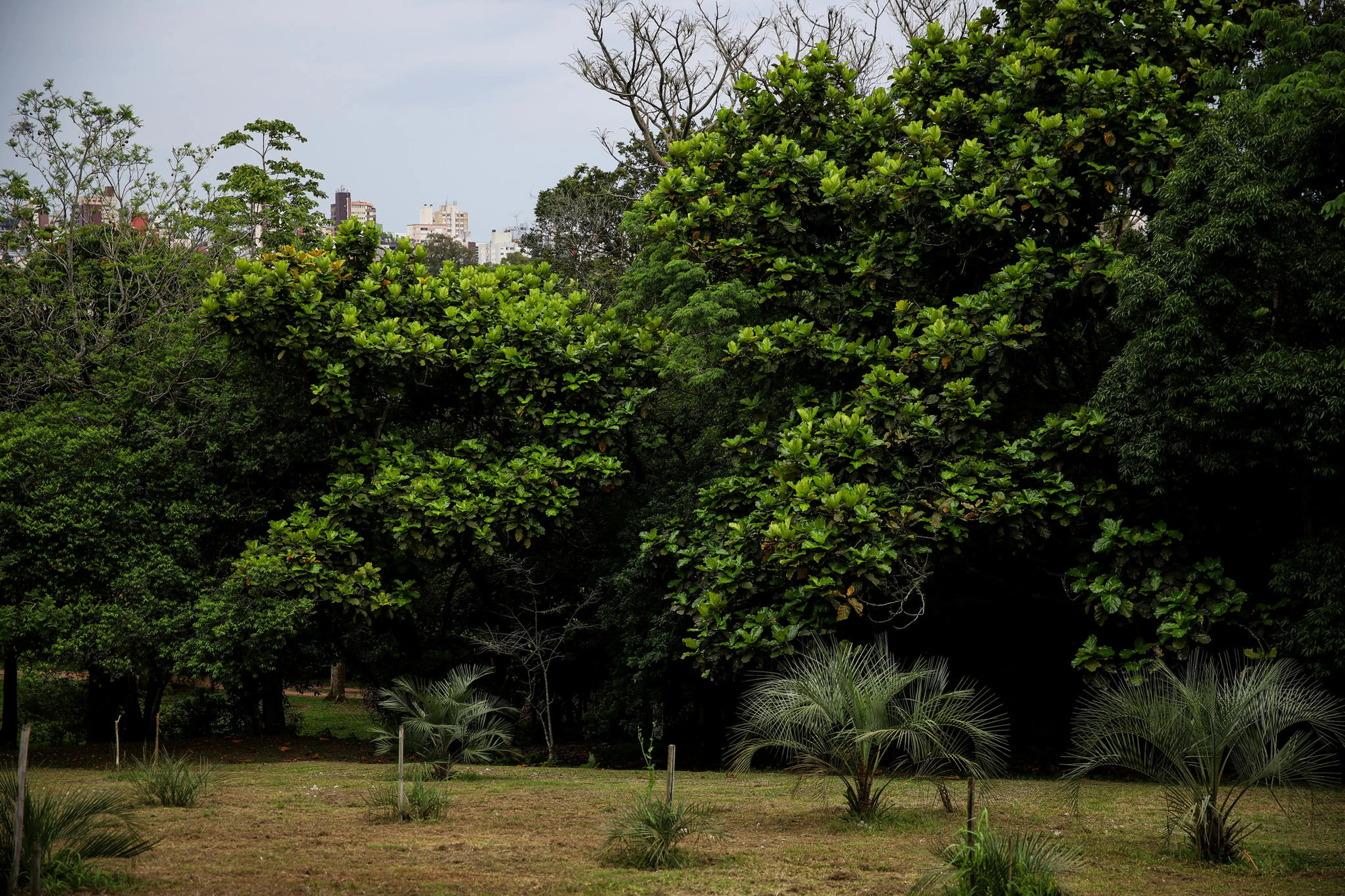 Duda Fortes/Agencia RBS