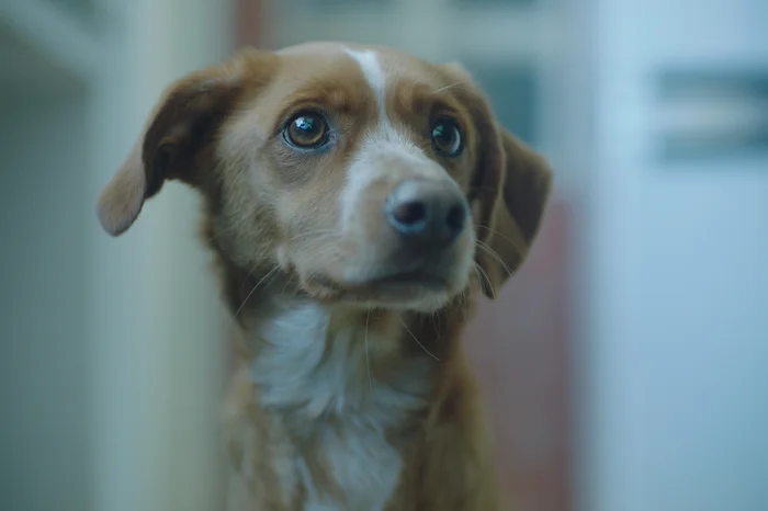 Okna Produções / Divulgação