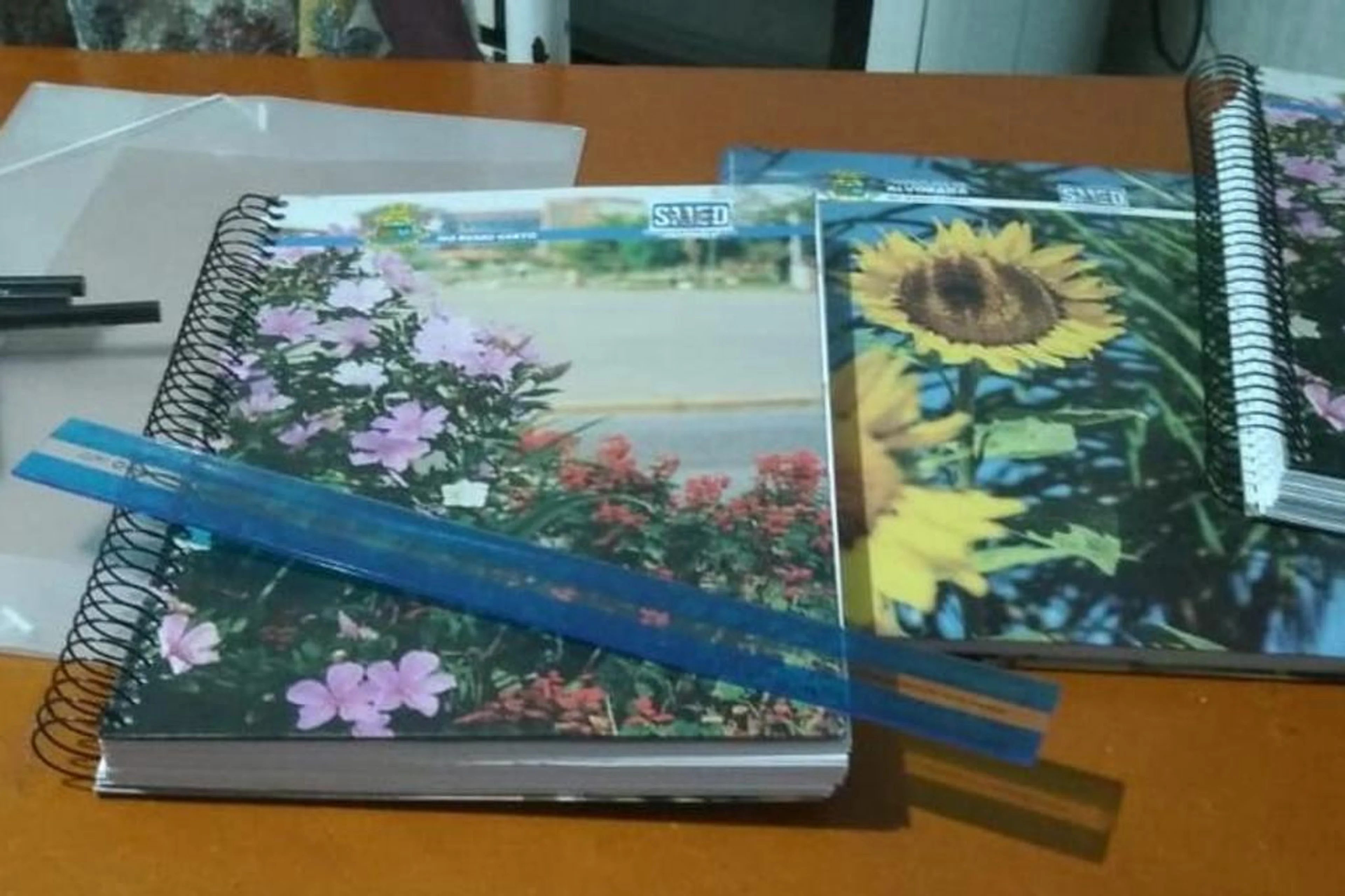 Arquivo pessoal/Reprodução