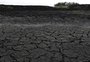 Calor e pouca chuva no RS: a pior combinação neste momento da safra 