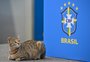 Entenda por que há tantos gatos em Doha