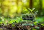 Mais da metade dos consumidores do Sul acha difícil encontrar produtos pró-meio ambiente