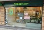 Um negócio inusitado em Porto Alegre: uma lavanderia que também é... coworking