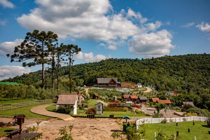Olivas de Gramado / Divulgação Olivas de Gramado / Divulgação