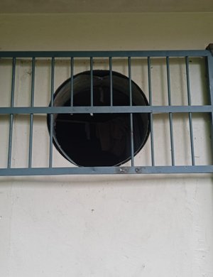 Divulgação / Divulgação Divulgação / Divulgação