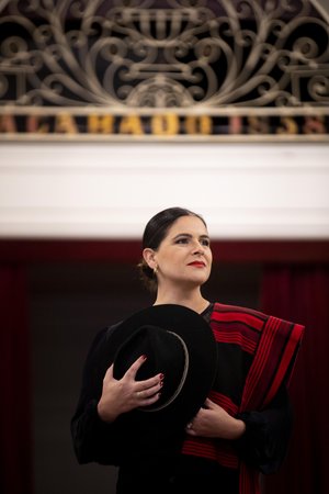 Camila Hermes / Agencia RBS