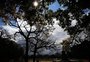 Sexta-feira será de sol em quase todo o Rio Grande do Sul; há risco de geada na Serra
