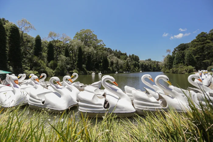 André Fernandes / Divulgação