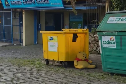 Cena curiosa de ursinho Pooh (ou Puff) descartado ao lado de contêiner seletivo<!-- NICAID(16210885) -->