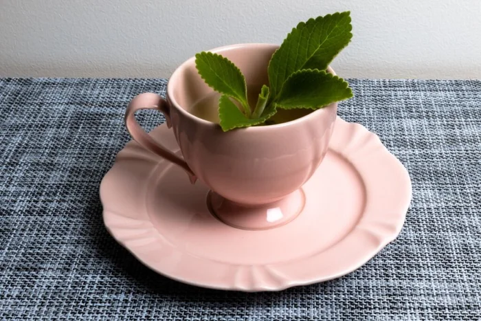 Studio Neeby / Shutterstock | Portal EdiCase