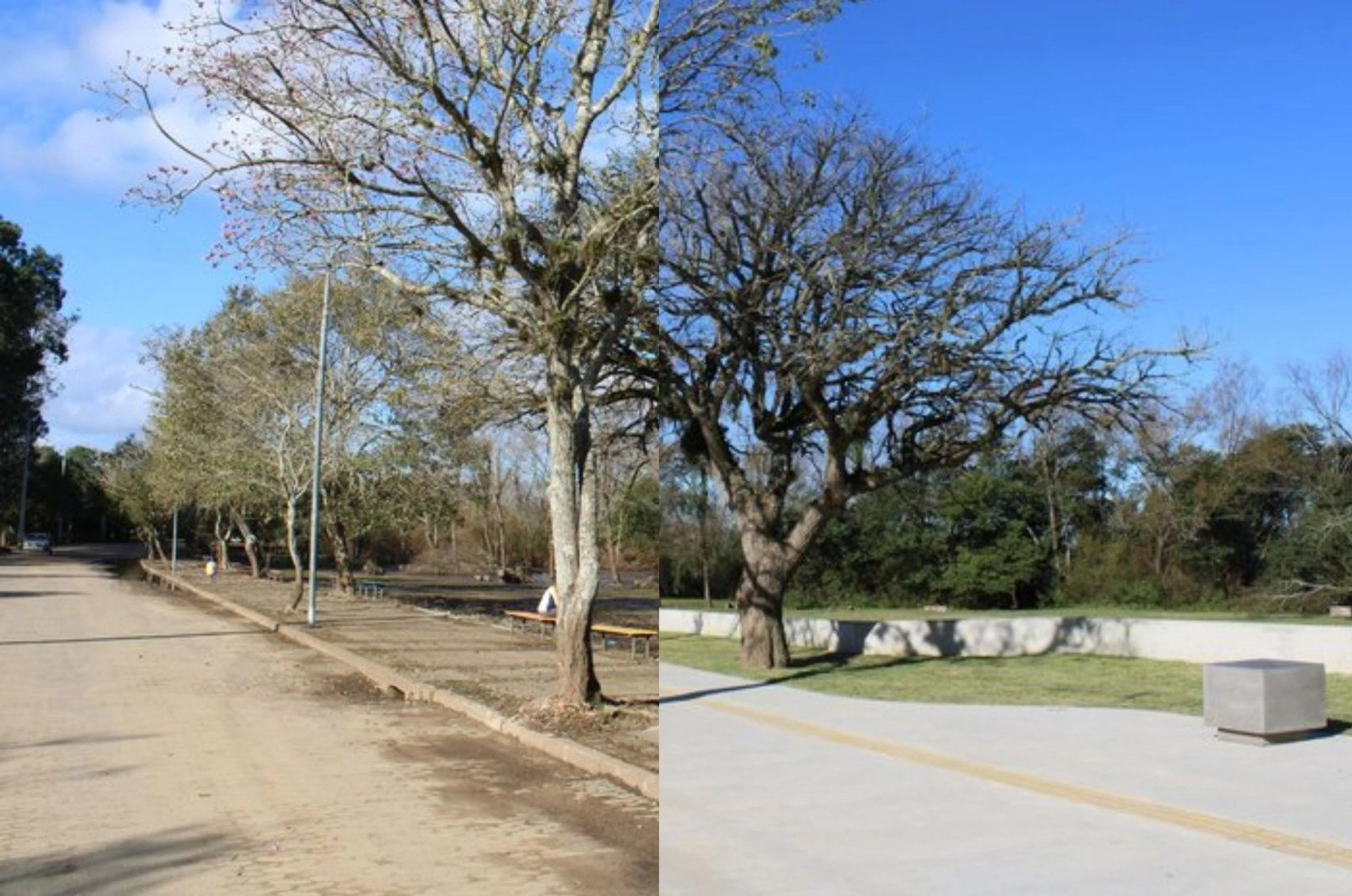 Prefeitura de Porto Alegre/Divulgação