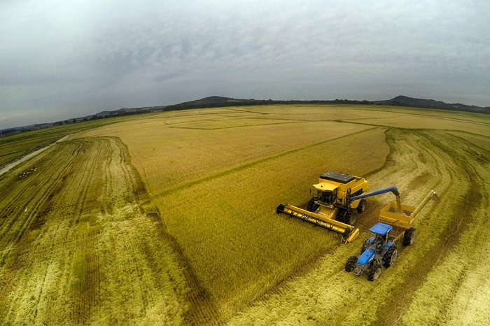 Tadeu Vilani / Agencia RBS