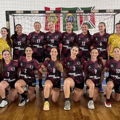 A equipe da Apahand/UCS alcançou um feito importante no handebol nacional. O time da Serra ficou na terceira colocação na Copa Sul do Campeonato Brasileiro na categoria juvenil, até 18 anos. A competição reuniu as principais equipes da região Sul do país e foi disputada entre os dias 4 e 8 de junho, em Criciúma. <!-- NICAID(16055572) -->