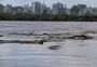 Defesa Civil de Porto Alegre emite alerta de elevação do Guaíba nas Ilhas e áreas ribeirinhas do Sul e Extremo Sul