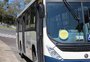 Transporte coletivo de Caxias terá linha especial nos fins de semana de Festa da Uva