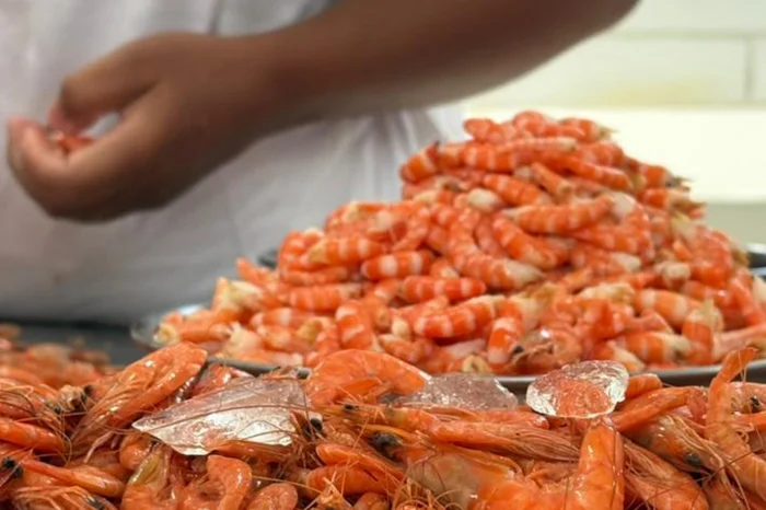 Elise Souza / Divulgação