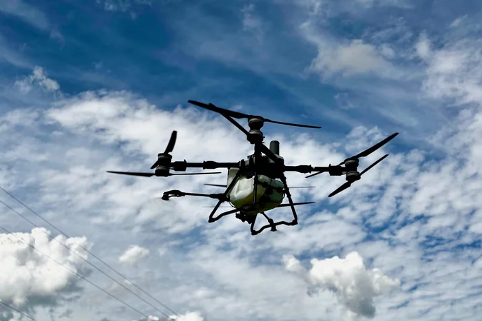 Alessandra Hoppen / Agencia RBS