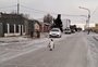 VÍDEO: com temperaturas baixas no Sul do continente, pinguim é visto no meio da rua na Argentina