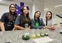 "Árvores líquidas": alunas do Ensino Médio desenvolvem pesquisa que pode melhorar a qualidade do ar 