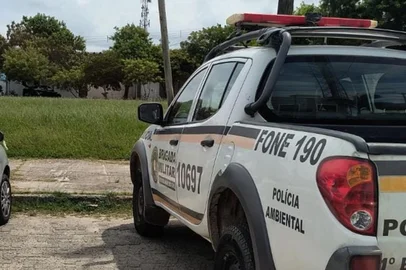 brigada pelotas<!-- NICAID(16188318) -->