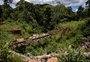 Nova concessão dá prazos para recuperar ferrovias do Sul; veja detalhes da proposta de R$ 12 bi