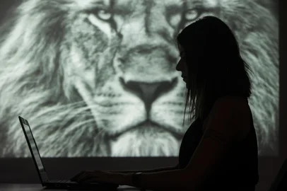 PORTO ALEGRE, RS, BRASIL - 2020.03.02 - Imagens gerais do site e aplicativo da receita federal para o Imposto de Renda. (Foto: ANDRÉ ÁVILA/ Agência RBS)Indexador: Andre Avila<!-- NICAID(14437037) -->