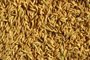Mercado mexicano está aberto ao arroz brasileiro<!-- NICAID(14768978) -->