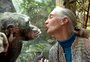 Morre Jane Goodall, a "amiga dos chimpanzés" que revolucionou a primatologia