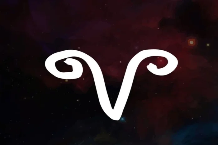 Cro Magnon / Shutterstock | Portal EdiCase