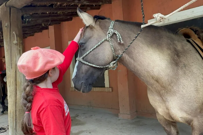 Carolina Jardine / Divulgação