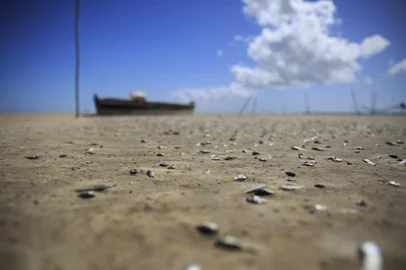 Tavares, RS, Brasil -  Seca devastadora faz desaparecer 90% da Lagoa do Peixe. Foto: Jefferson Botega / Agencia RBSIndexador: Jeff Botega<!-- NICAID(15342173) -->
