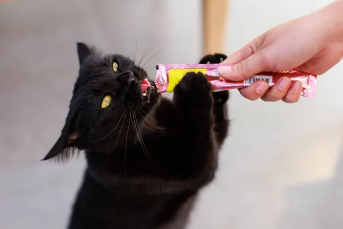 Bangkok Click Studio / Shutterstock | Portal EdiCase