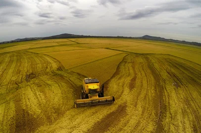 GUAÍBA, RS, BRASIL - 17-04-2015 - Colheita do arroz (FOTO: TADEU VILANI/AGÊNCIA RBS)<!-- NICAID(11349881) -->