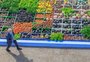 Gisele Loeblein: Há dois "Brasis" no novo Plano Safra da agricultura familiar, de R$ 89 bilhões  