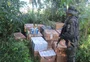 Mais de 16 mil carteiras de cigarros contrabandeados são encontradas às margens do Rio Uruguai, no Noroeste
