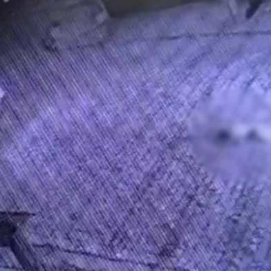 Câmera de segurança flagra homem arrastando cachorro amarrado em carro em Caxias do Sul<!-- NICAID(15855139) -->
